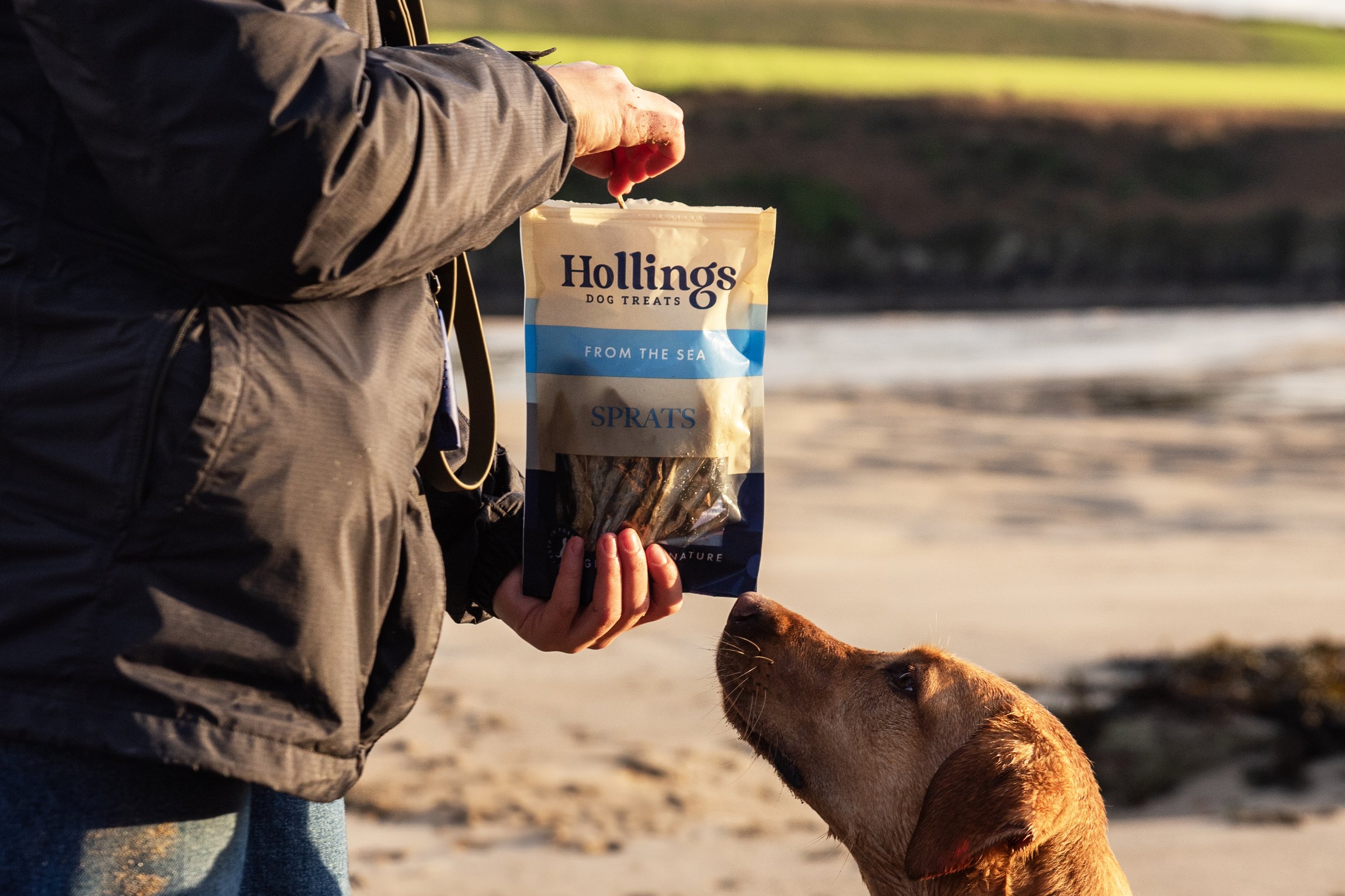 Hollings Pet Treats